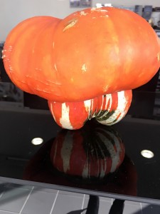 かぼちゃ③